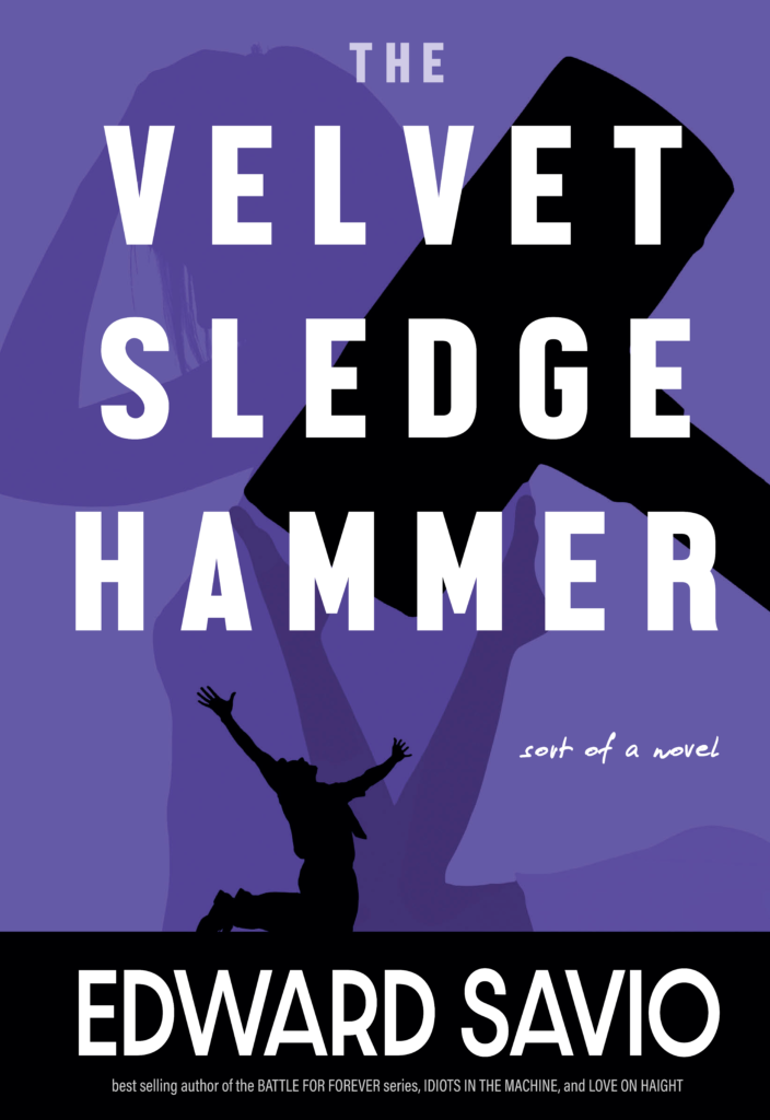 The Velvet Sledgehammer book cover